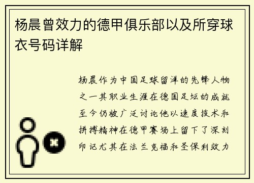 杨晨曾效力的德甲俱乐部以及所穿球衣号码详解